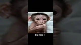 Я не могу тебя ждааать😥
