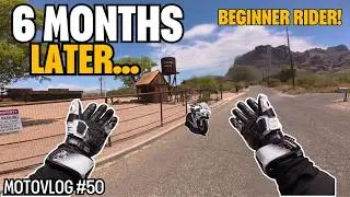 NEW RIDER 6 MONTH PROGRESSION UPDATE | BEGINNER RIDER | GSXR 600 | Motovlog #50