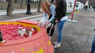 ZTE Blade V9 test video