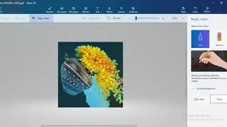 How to Crop Resize and Shape any Images - Microsoft Paint 3D Tutorial