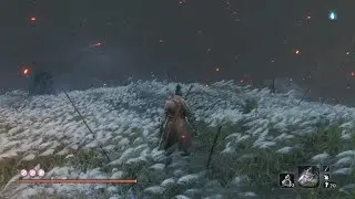 Sekiro: Shadows Die Twice - Иной Иссин