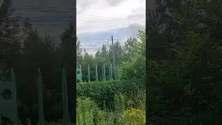 ВЛ80с 20?8