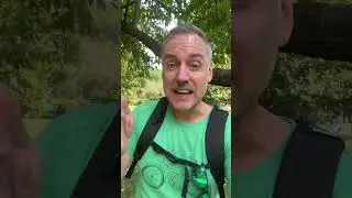 Wim Hof blames rogue instructors for deaths.