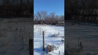 Погода на даче 22-ого Декабря вдохновляет на прочтение стихов Александра Пушкина