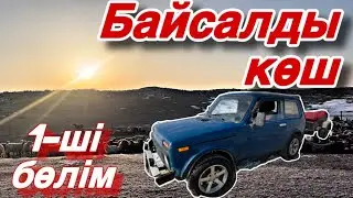 Көшсең осылай көш! Қоймен көшіп барамыз!
