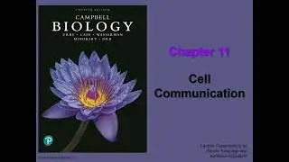 General Biology (College) - Chapter 11 - Cell Communication