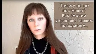 Почему он так поступает? Как эмоции управляют нашим поведением.