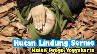 Memasuki musim kemarau saatnya hunting foto di hutan lindung Kokap (Sermo) Kulon Progo