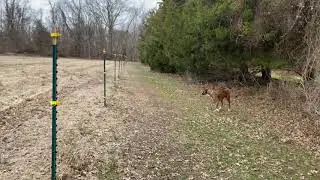 Ward's Farm Tour Part 2