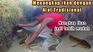 Menangkap ikan di Sungai Surut dengan Cara tradisional, Hasil nya sangat lumayan..