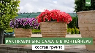 Цветы - посадка в кашпо. Контейнерное озеленение в ландшафтном дизайне