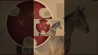 Producing an antidote using horse blood! 🐍🧪🐎🩸 
