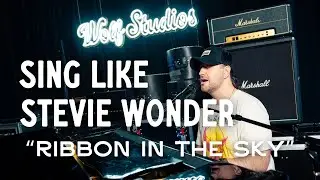 Sing Like Stevie Wonder: 