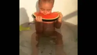 Без названия