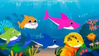 Baby Shark Doo-doo | Baby Shark Family | Baby Shark Dance 