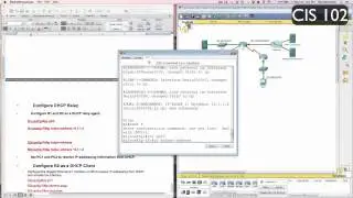 10 1 3 3 Packet Tracer   Configuring DHCPv4 Using Cisco IOS Instructions