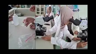 PRAKTIK LAPANGAN | Biomonitoring | Ruang Terbuka Hijau Cilacap | Kelompok2 | 2025 | 1B ~ Oto Prasadi