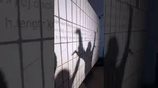 Театр теней имени Бьянки
