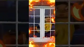 #анимация