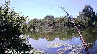Opa opa al ga zvekno! Silovit udarac, misliš da je Srebrni Torpedo tj. Bucov kad ono Bikovi...