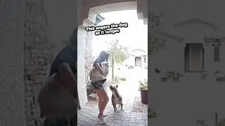 Heroic Delivery Woman Saves Them From Aggressive Dog 🥲❤️