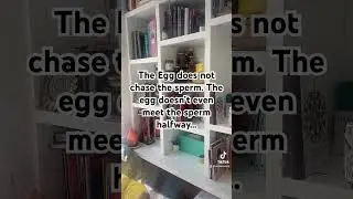 The Egg Does Not Chase The Sperm
