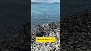 Магнит для денег!