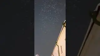 Птицы кружат над храмом