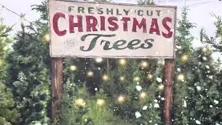 Christmas Tree Farm Mini Session