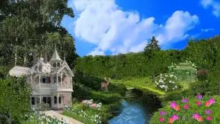 Футаж Природа 1