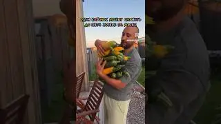 Кто понял, то понял 🫡