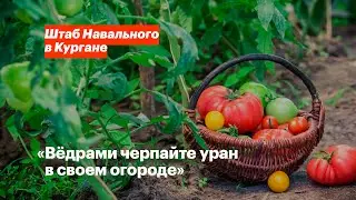 «Вёдрами черпайте уран в своем огороде»