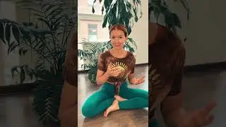 Вводный курс по хатха-йоге с Аллой Измаильской #yoga #медитация  #йогаспб #сенная #хатхайога