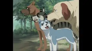 Hopeanuolen poika Jakso 14