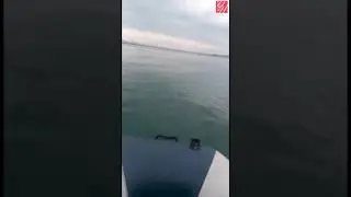 08.09.2019 — Акулу сняли на видео шахтёрские рыбаки (район Переплюя, Углегорский район, Сахалин)