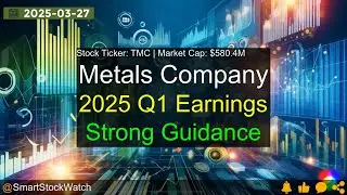 The Metals Company (TMC|$580.4M) - 2025 Q1 Earnings Analysis