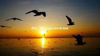 Pov - When You Are In Love ..  #love