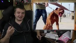 Трешовые байки компьютерного мастера / Часть 2