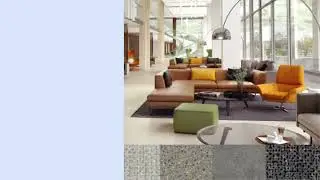 Altro Illustra design inspiration