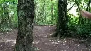 THE WOODS. Horror movie 2014 trailer.