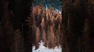 Вот за что я люблю Жабляк и Дурмитор в Черногории #shorts #shortvideo #montenegro