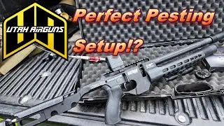 Airmaks Katran Pigeon Hunt | Olight Red Dot!