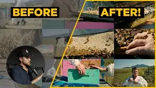 Color Grading URSA 4.6k G2 footage in DaVinci Resolve