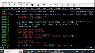 Understanding Salary Calculations and Employment Types in COBOL