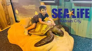 SEA LIFE Aquarium - KansasCity, Missouri