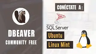 🔴 Cómo CONECTAR DBeaver con SQL Server en LINUX