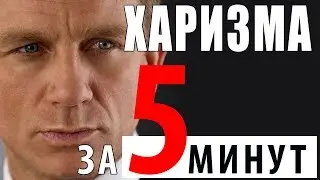 ХАРИЗМА ЗА 5 МИНУТ. Основное различие альфы и беты