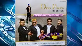 grupo super t -(album) oro puro 20 exitos