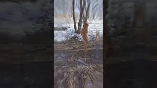 Стаффордширский терьер. Кабель. 8 месяцев.