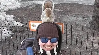 Un écureuil sur ma tête (Squirrel on my head)